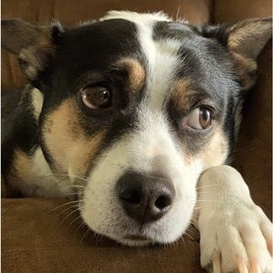 Meet your Posher, Natalie